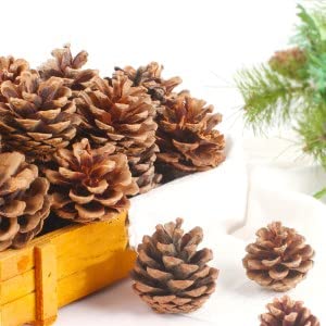 Qhzhang Natural Bulk Pine Cones,Christmas Tree Fall Ornaments,Christmas Rustic Pinecones For Home Party Decorations-18Pcs #TOP4