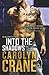 Into the Shadows (Undercover Associates)