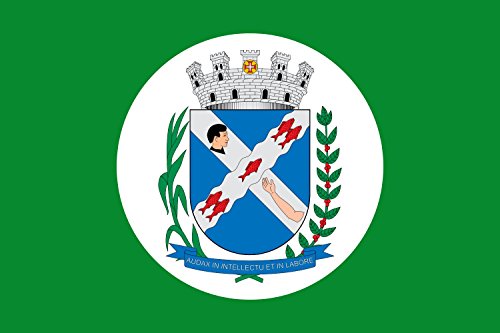 Drapeau Piracicaba SP de haute qualité avec finitions renforcées - 2