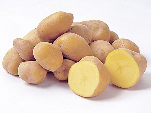 北海道四季工房 北海道剣淵産 インカのめざめ（M～L混）北海道産じゃがいも