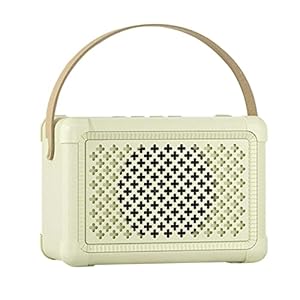 Richolyn Retro draadloze luidspreker, draagbare luidspreker voor retro muziek, kleine draadloze luidspreker 5.0, schattige ouderwetse stijl voor keuken, bureau, slaapkamer, kantoor, feest