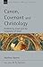 Canon, Covenant and Christology: Rethinking Jesus and the Scriptures of Israel (New Studies in Biblical Theology)