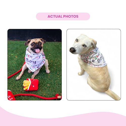 Birthday Girl Dog Gift Bundle – Juguetes para Perro miniatura 7