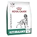 Royal Canin Glycobalance Dry Dog Food