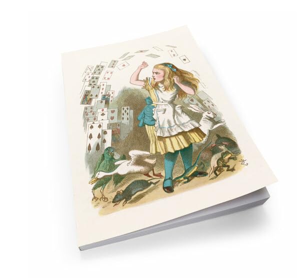 Carnet de contes illustration carnet d'écriture broché pages vierges 14,7 x 21 cm