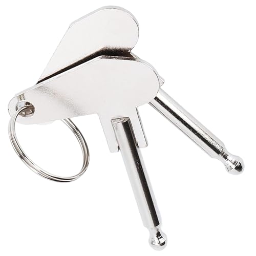 Pratico set: il set contiene 2 chiavi di accensione con un diametro di 5 mm, che sono pratiche e affidabili per la sostituzione e l'uso su una vasta gamma di macchine. Ideale per applicazioni agricole e edilizie.