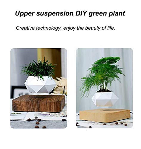 Photo complémentaire