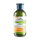 champu hidratante cuero cabelludo hombre CHAMPU ALOE MALVAV 300ml ECO CORPORE SANO