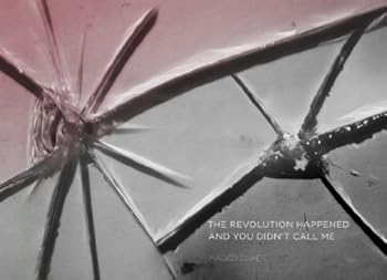 Paperback The Revolution Happened and You Didn't Call Me Book