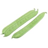 Ruilogod Mousse Home Stage Décoration Artificielle Sword Bean Légume 3 PCS Vert