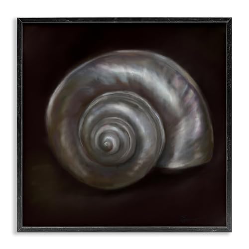 Tableau Spiral Treasure par Mary Sparrow chez Stupell Industries, cadre noir 24x24cm