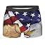 American Flag Eagle 24