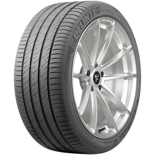 DELINTE - 215/70 R16 TL 100H DS2 SUV BSW - Sommerreifen
