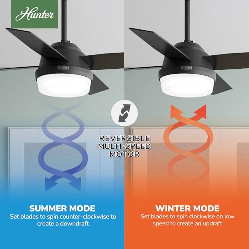 Image of Hunter Dempsey, Indoor, Ceiling Fan, Modern, 4 Blades, 44 inch, Matte Black
