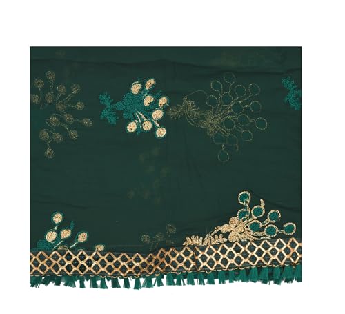 YOUTHQUAKE Heavy Embroidered Work Chiffon Dupatta for Womens & Girls With Fancy Lace