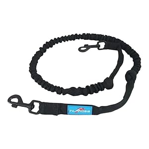 Laisse Extensible pour Gros Chiens (15kg+) - Inlandsis Crosser 2/1,3m à 2m (Occasion Très Bon)