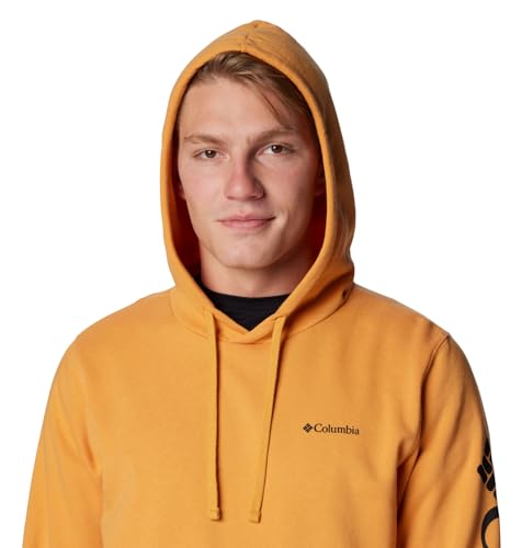Image of Columbia mens Trek Hoodie