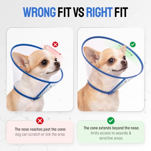 Image of SILVER GRADE Dog Cone Collar for Puppies & Toy Breeds, Size M, 12.2-14.2 in