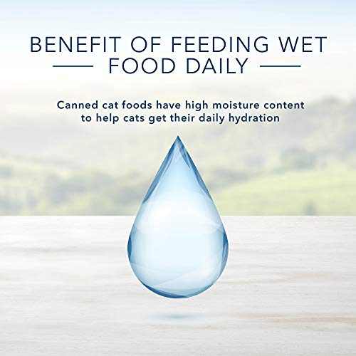 Blue Buffalo Healthy Gourmet Natural Kitten Pate Wet Cat Food, Chicken 3-oz cans (Pack of 24)