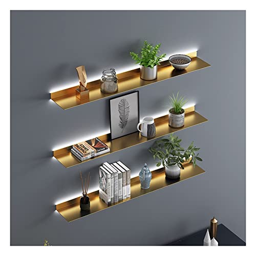 Étagères flottantes pour plantes au salon, le rangement mural illuminé
