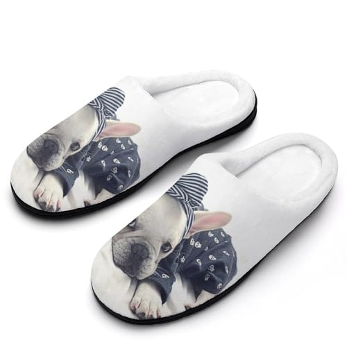 [STEBVI] Xbp  t`uhbO  [V[Y  nEXXbp  Y fB[X  ~ g 􂦂 qp p jp v[g