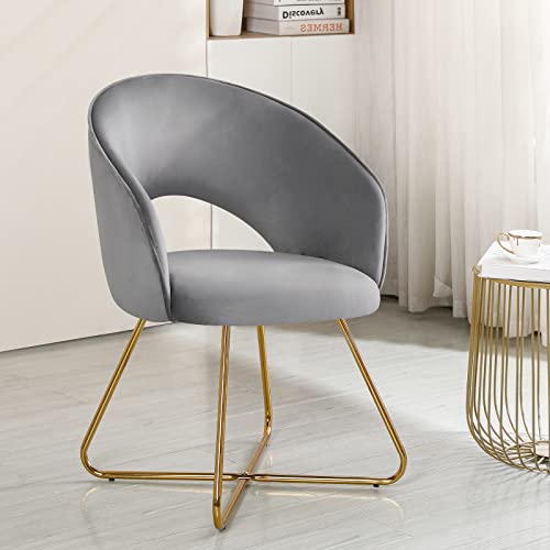 Furniliving Accent Chair Armchair Mid-Century Modern Chair For Living Room Sofa Side Chair Lounge Chair For Bedroom Upholstered Vanity Chair With Gold Legs 1Pcs (Lightgrey) #TOP8