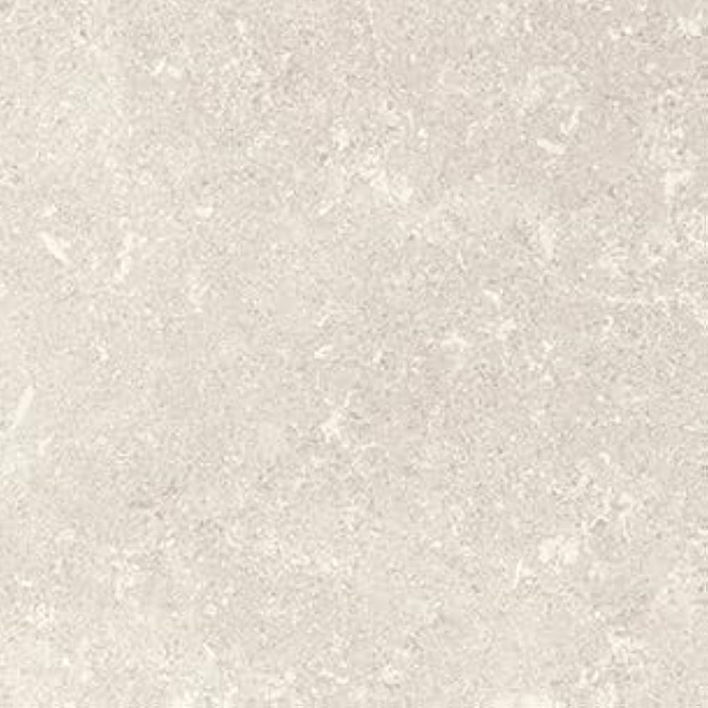 Amazon | サンゲツ IS-2097 フロアタイル フォッシルストーン 石