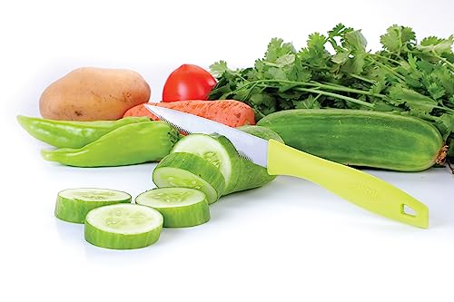 Image of Ganesh Classic Stainless Kitchen Knife Vegetable Cutting and Chopping Knife, Serrated Edge 12 pcs