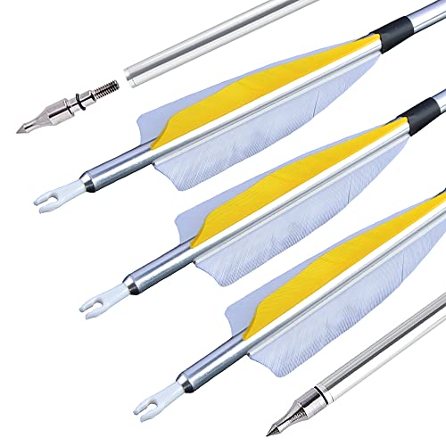 ZSHJGJR 31 inch Archery Aluminum Arrows 500 Spine Hunting