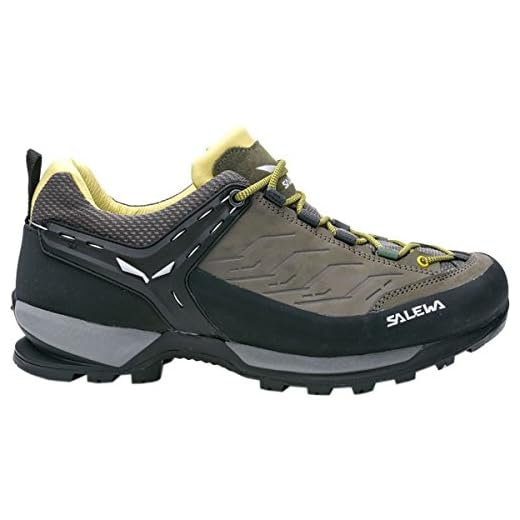 Salewa Mens MS Mountain Trainer Leder High Rise Hiking Shoes, Brown (Walnut/Golden Palm), 11 US