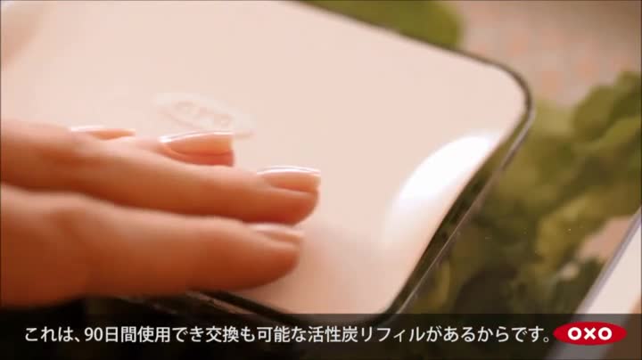 OXO 野菜保存容器 グリーンセーバー フードキーパー 4.7L 11140100