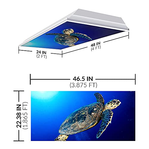 Image of Fluorescent Light Cover for Classroom Ceiling Lights - Premium Backlit Film Insert 2x4 (22.38 inchx46.5 inch) Florescent Fixture (Pack of 1) School, Office, Sensory, Improve Focus, Eliminate Headache - Turtle