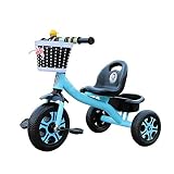 DYCIN Tricycle Evolutif Pliable Bicycle 1-3-5-2-6 Ans Tricycle de Voiture Carriage Boy Girl Indoor et extérieur avec boîte de Rangement Jouet extérieur Fille de garçon (Color : Blue)