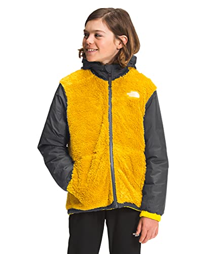 THE NORTH FACE Boys' Reversible Mount Chimbo Full Zip Hooded Jacket, Lightning Yellow, Small3