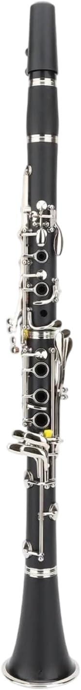 Clarinet for Adult Beginners Practice Playing The Bb Clarinet 17 Keys A Wind Instrument