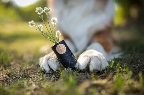 TSP Bio-abbaubare Hundekotbeutel mit Henkeln - OK compost HOME zertifiziert - 100% heim-kompostierbar und biologisch abbaubar - Gross & Extra Dick (18µm), (18 Rollen (252 Beutel))