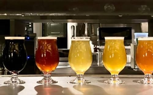 ビール クラフトビール 飲み比べ 3種 ラガー スタウト IPA 330ml×各2本 合計6本 beer 麦酒 びーる 地ビール 酒 craft beer クラフト ご当地 家飲み 直送 人気 お取り寄せ 贈り物 贈答 冷蔵 湘南台 Aprotodo'S株式会社 RRAAP BREWERY 神奈川 湘南 藤沢