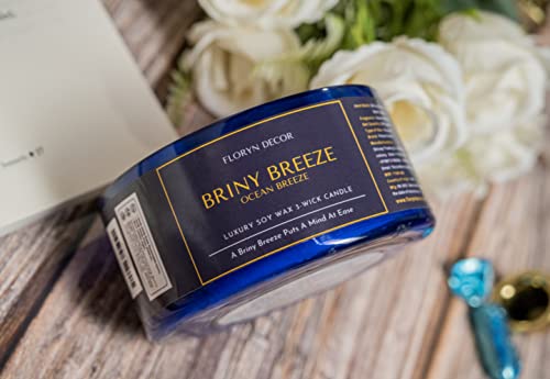 Image of Floryn Decor 3 Wick Candle | Candle for Home Decoration | Luxury Candle for Home Decor | | Burning Time - 40 Hours | Soy Wax Candles Scented (Ocean Breeze)