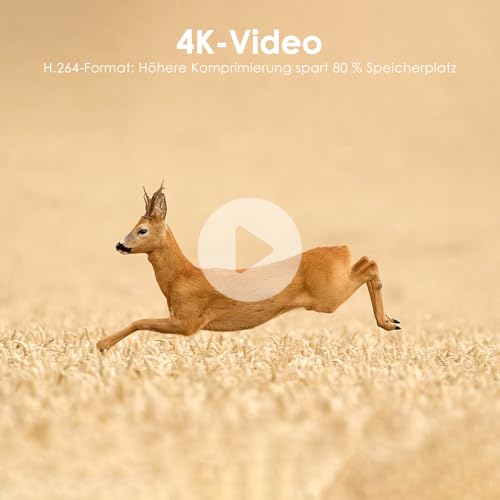 MAXDONE Wildkamera mit Bewegungsmelder Nachtsicht, 4K 64MP WLAN Bluetooth Wildkamera mit Handyübertragung App, Wildtierkamera mit 2000mAh Akku, Nachtsichtkamera 0,1s Auslösezeit, IP66 Wasserdicht