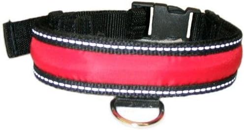 Small PolyBrite Dog Collar (Red/black , 12-16 in.)