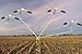 SnowDown Decoys 4-Arm Snow Goose Rotary Flyer Machine, Vortex Flying Decoy System with Remote Control, Snow Goose Flying Decoy Machine
