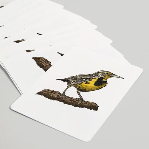Lantern Press Meadowlark Bird, 52 cartas poker para adultos miniatura 5