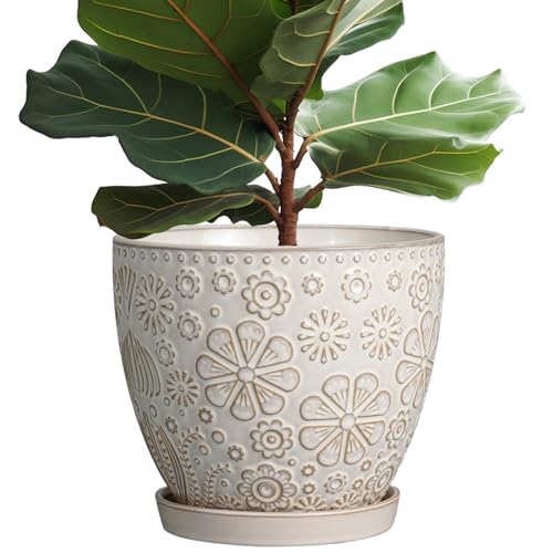 MPotTo Maceta de cerámica grande de 10 pulgadas para plantas de interior y exterior, maceta redonda con agujero de drenaje y platillo para decoración del hogar y jardín, color blanco