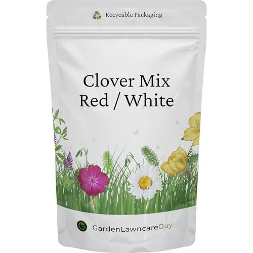 Clover Seed Mix 50/50 Red & White for Lawns and Gardens 100g