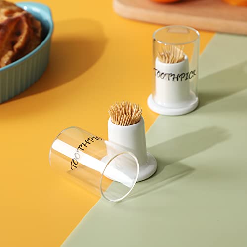 LEETOYI Porcelain Toothpick Holder Dispenser with Glass Lid Set of 2