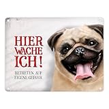 Mit einem Mops als Wachhund ist nicht zu scherzen.