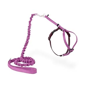 PetSafe Come with Me Kitty Harness and Bungee Leash, Harness for Cats, Large, Dusty Rose/Burgundy