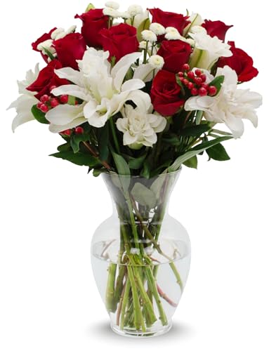 Stargazer Barn - Red Royale Rose Bouquet (Includes Glass Vase) - Next Day Fresh Flower Delivery - Gift for Anniversary, Birthday, Congratulations, Get Well, Graduation, Sympathy, Easter