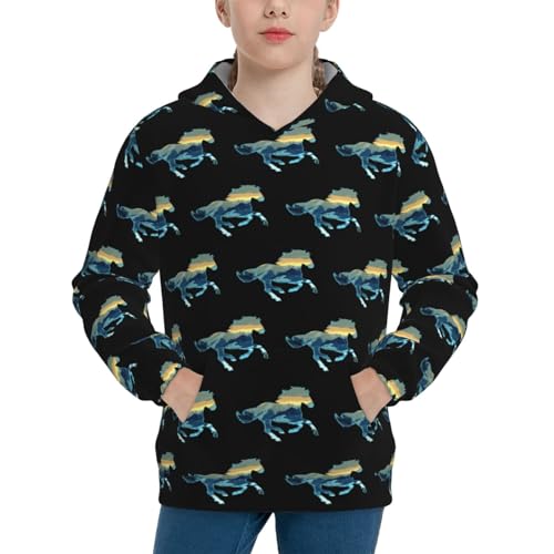 Horse Boy, Girls Sports Shirt Youth Pullover Fashion Hooded Sweatshirt3