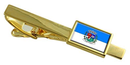 Evita corbatas desalineadas con el clip de oro Sumidouro Río de Janeiro personalizado